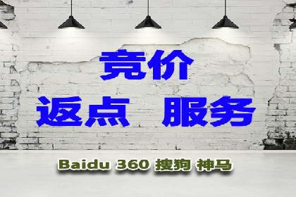 SEM广告投放策略案例分析